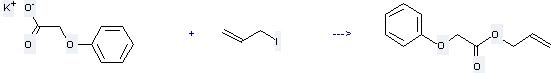Allyl phenoxyacetate can be prepared by 3-iodo-propene with phenoxy-acetic acid; potassium-compound.